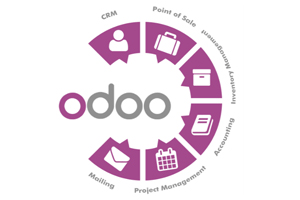 Бухгалтерский учет в ODOO: план счетов и бухгалтерские журналы