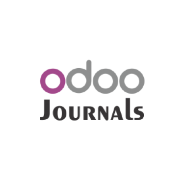 Бухгалтерский учет в ODOO: ручной ввод и редактирование записей журнала (проводок)
