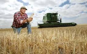Рада подовжила мораторій на продаж землі до 2020 року
