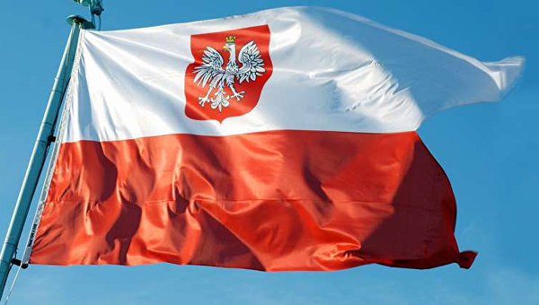 Як українцю відкрити бізнес у Польщі: вивчаємо польську податкову систему