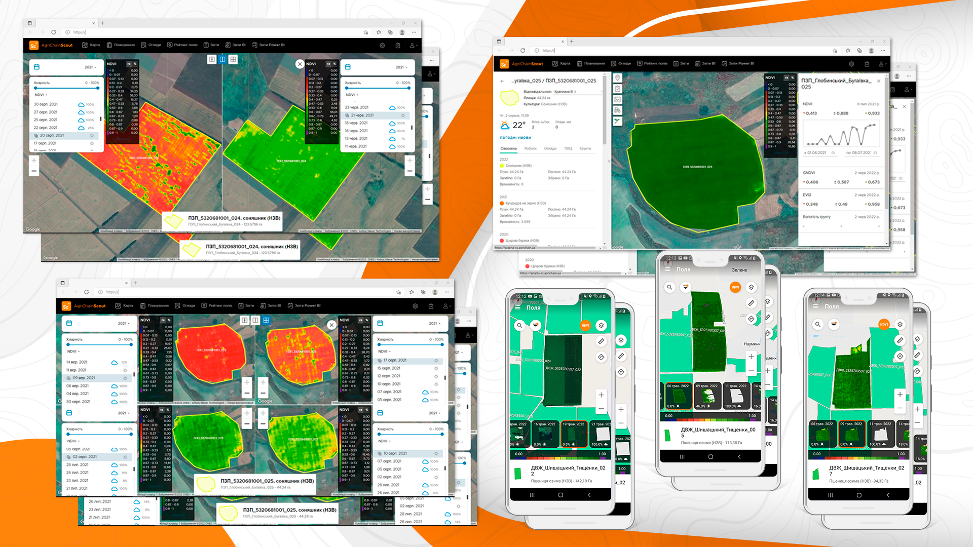 AgriChain Scout: догляд за посівами через смартфон